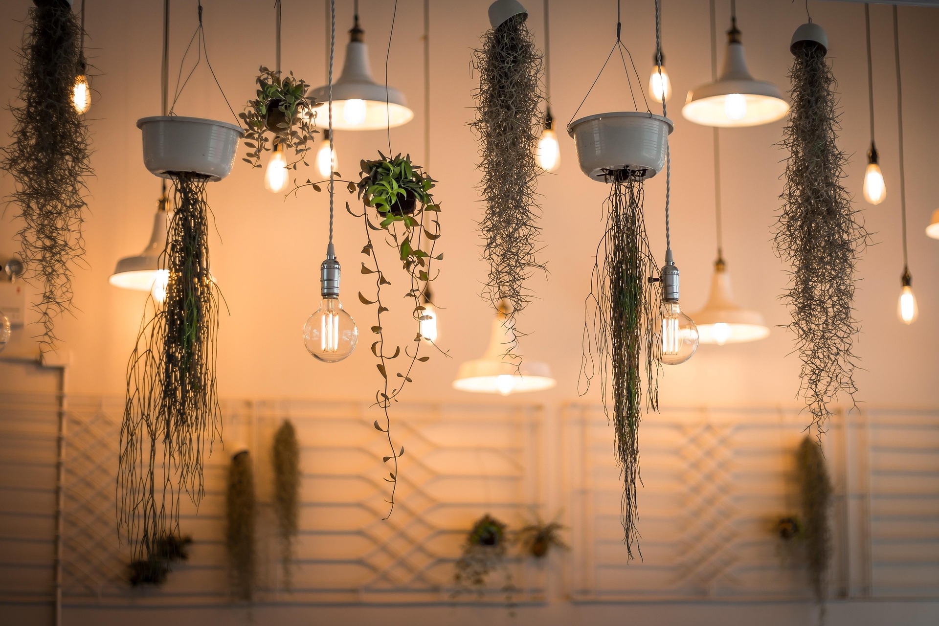 Sustainable & Eco-Friendly Design